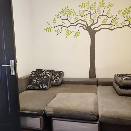 Limon Studios Brašov Exteriér fotografie
