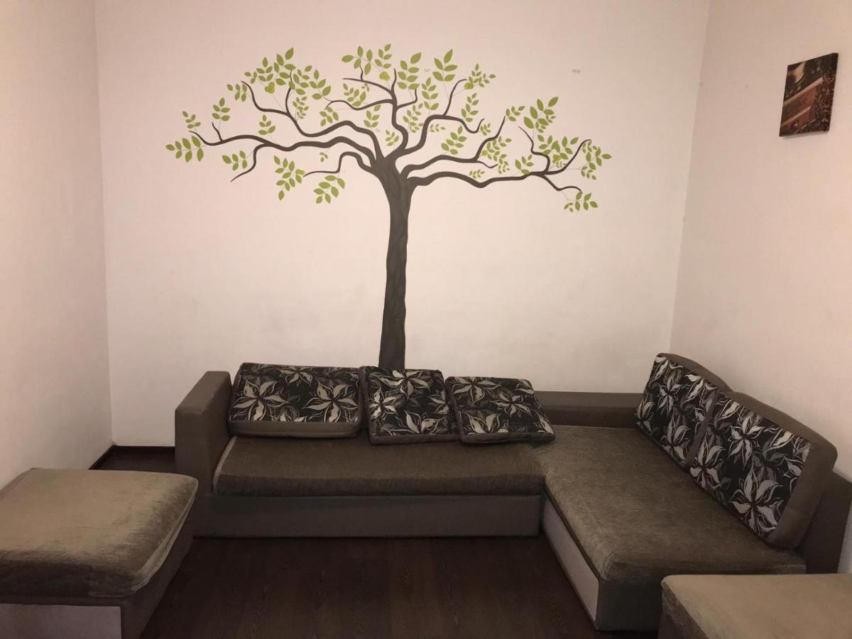 Limon Studios Brašov Exteriér fotografie