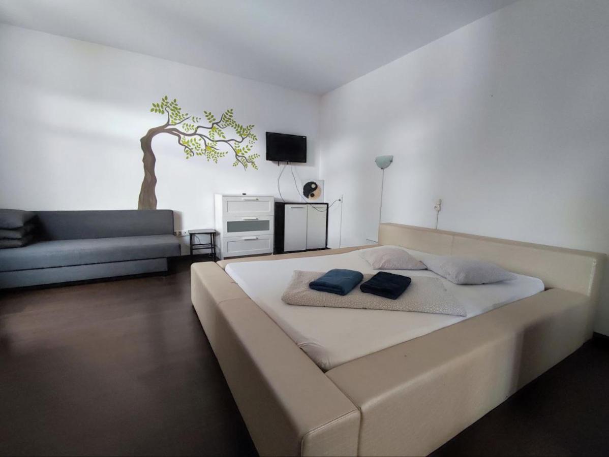 Limon Studios Brašov Exteriér fotografie