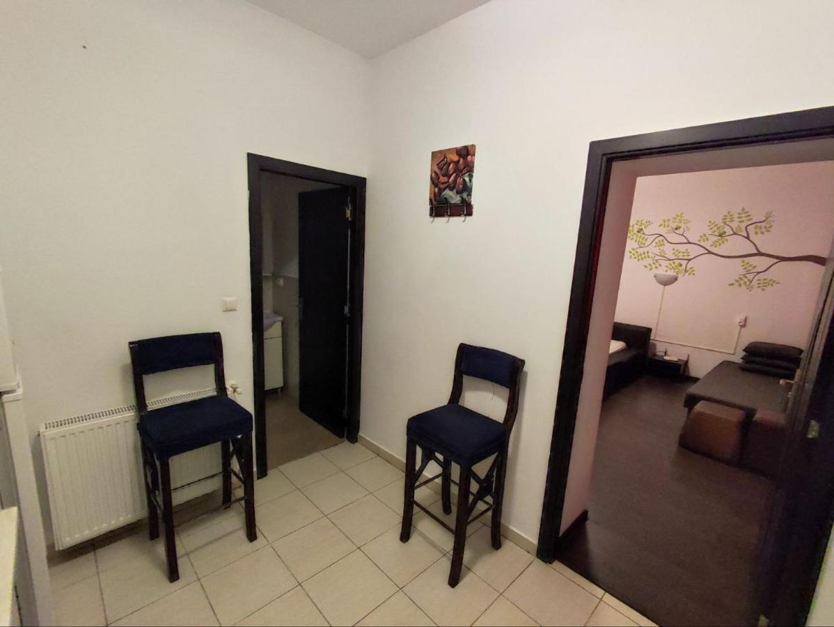 Limon Studios Brašov Exteriér fotografie
