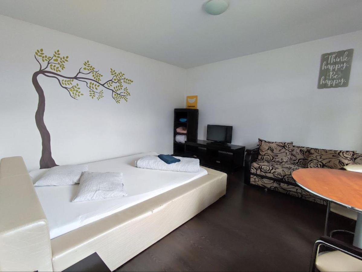 Limon Studios Brašov Exteriér fotografie